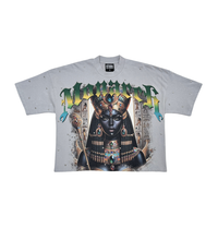 Load image into Gallery viewer, Stray wide &amp; crop fit w/ 3/4 sleeve tshirt (Grey)