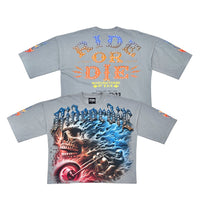 Load image into Gallery viewer, Stray Stray ride or die 3/4 sleeve tee (Light Grey)