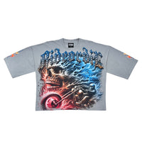 Load image into Gallery viewer, Stray Stray ride or die 3/4 sleeve tee (Light Grey)