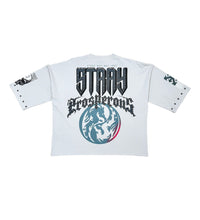 Load image into Gallery viewer, Stray Prosperous 3/4 sleeve tee (Light Grey)