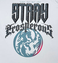 Load image into Gallery viewer, Stray Prosperous 3/4 sleeve tee (Light Grey)