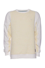 Load image into Gallery viewer, A TIZIANO Blaise | Fancy Knit Crewneck (PALE LIME)